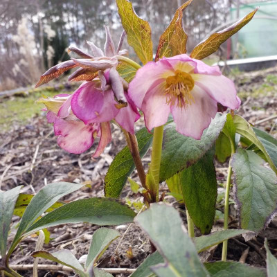 20190307_141848.jpg