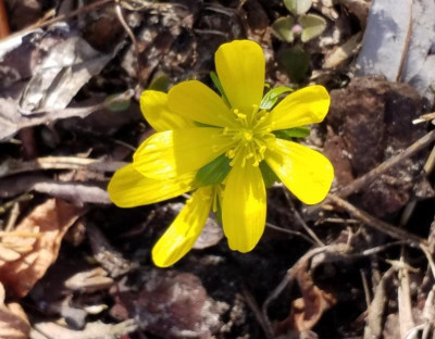 20190307_224504.jpg