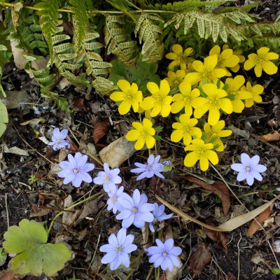 20190307_125139.jpg