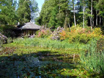 seleger_moor_teich.jpg