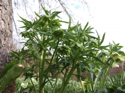 DSCF5998.JPG