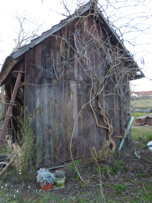 2019-03-08 Buchs 2.jpg