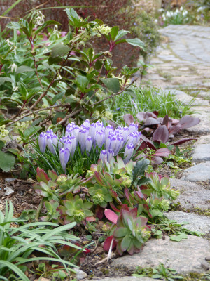 2019-03-09 Gartenbesuch 1.jpg