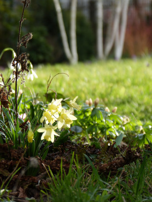 2019-03-09 Gartenbesuch 3.jpg