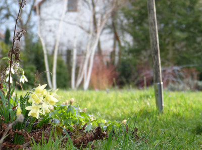 2019-03-09 Gartenbesuch 4.jpg