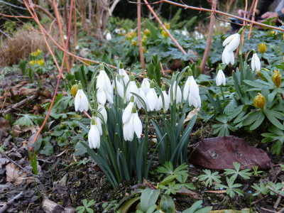 2019-03-09 Gartenbesuch 6.jpg