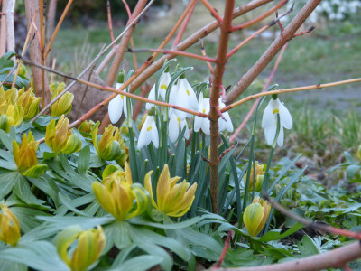 2019-03-09 Gartenbesuch 7.jpg