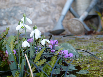 2019-03-09 Gartenbesuch 8.jpg
