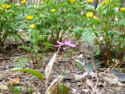 P1060194.JPG