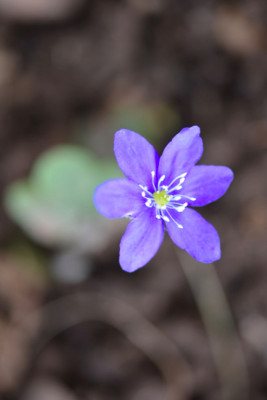 DSC_7673.jpg