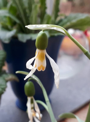 20190310_184357.jpg
