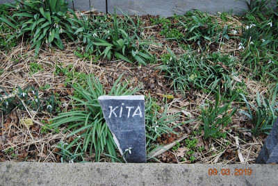 Torgau2019_03_09_06Kita.jpg