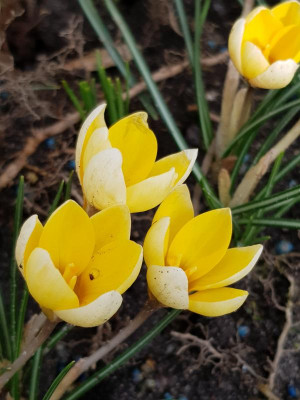 20190310_103658.jpg