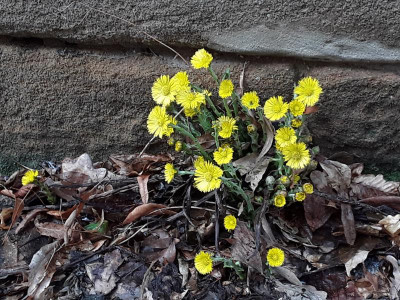 20190310_161846.jpg