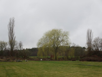 IMG_7657.JPG