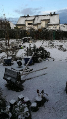 IMG-20190311-WA0001.jpeg
