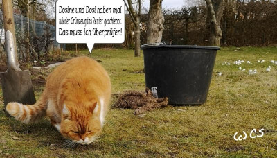 2019-03-11-10-43-05.jpg
