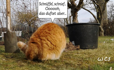 2019-03-11-10-43-51.jpg