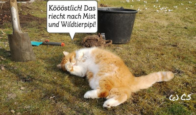 2019-03-11-10-45-26.jpg