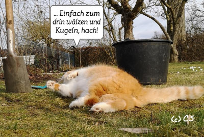 2019-03-11-10-46-11.jpg