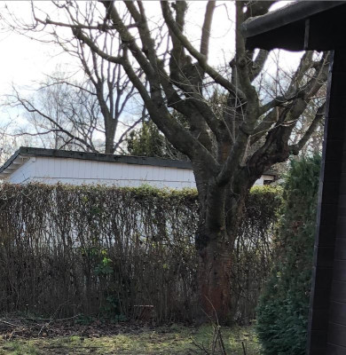 Bildschirmfoto 2019-03-11 um 20.26.11.png