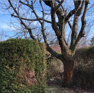 Bildschirmfoto 2019-03-11 um 20.26.51.png