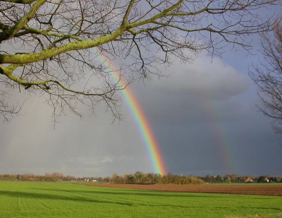 Regenbogen 7.3.19.jpg