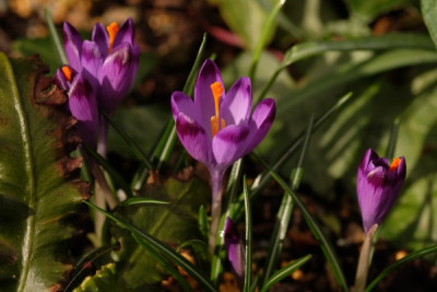 DSCF8517_3792.JPG