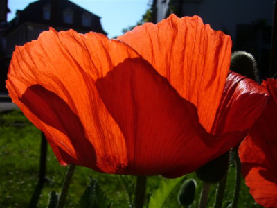 20.05.2007.1.JPG