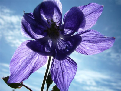 20.05.2007.2.JPG