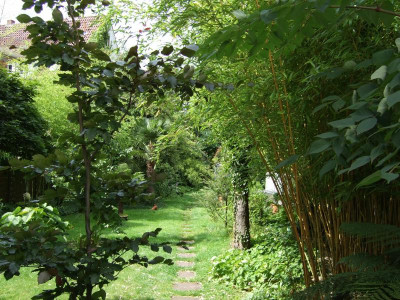 Garten.JPG