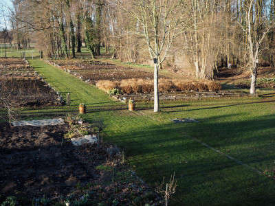 Guten Morgen 13.3.19 ue.JPG