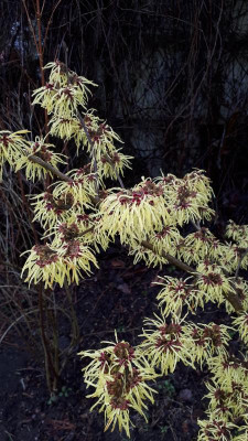20190312_073615.jpg