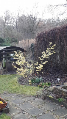 20190312_074533.jpg