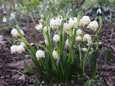 DSCF5930.JPG