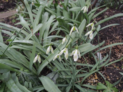 DSCN3524_3793.JPG