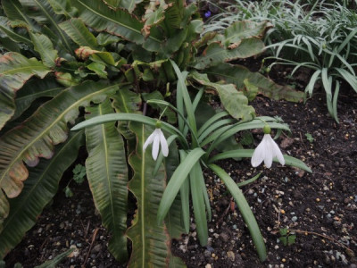 DSCN3528_3794.JPG