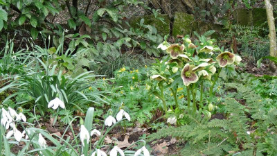 DSC01800.JPG