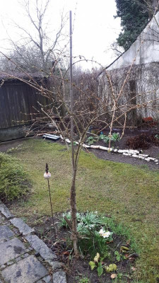 20190314_073622.jpg