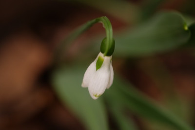 DSCF8558_3798.JPG