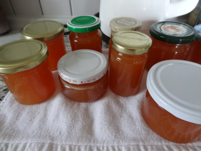 Quitte-Orange.JPG