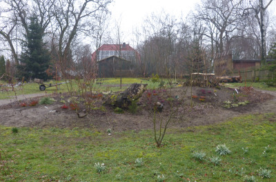 2019-03-16 Birkenhain 8.jpg