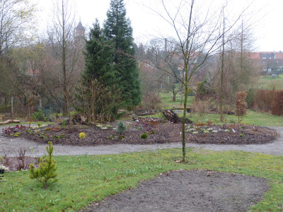 2019-03-16 Birkenhain 9.jpg