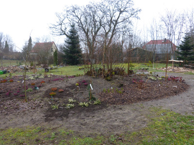 2019-03-16 Birkenhain 11.jpg