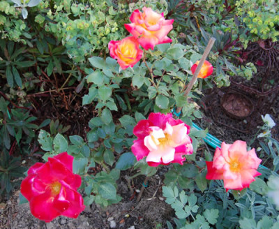 Sieben_Farben_0001_DSC_5437.jpg