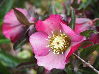P3162373.jpg