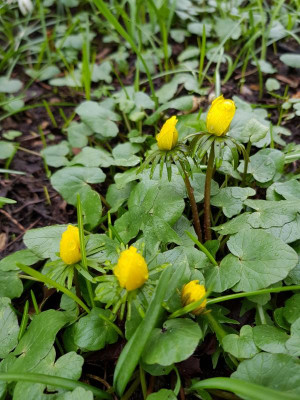 20190315_092044.jpg
