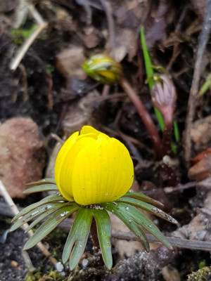 20190316_083230.jpg