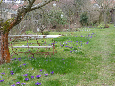 2019-03-17 Gartenimpressionen.jpg