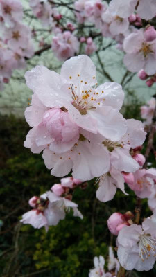 20190317_160858.jpg